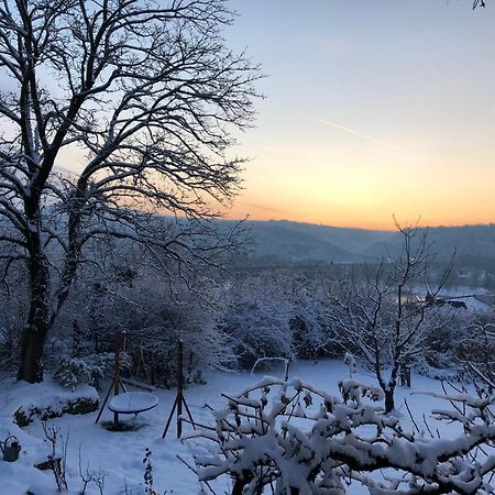 Ueber Den Daechern Von Koblenz - Aussichts-Wohnung Naturpark Rheinblick, Ruhig, Zentrumsnah, Sport-Pool Bagian luar foto