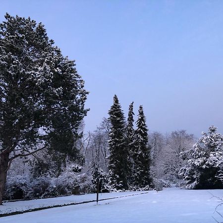 Ueber Den Daechern Von Koblenz - Aussichts-Wohnung Naturpark Rheinblick, Ruhig, Zentrumsnah, Sport-Pool Bagian luar foto