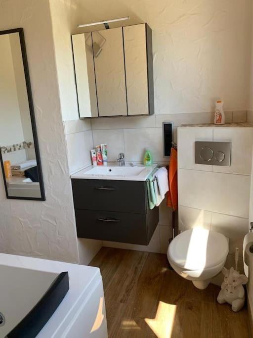 Ueber Den Daechern Von Koblenz - Aussichts-Wohnung Naturpark Rheinblick, Ruhig, Zentrumsnah, Sport-Pool Bagian luar foto