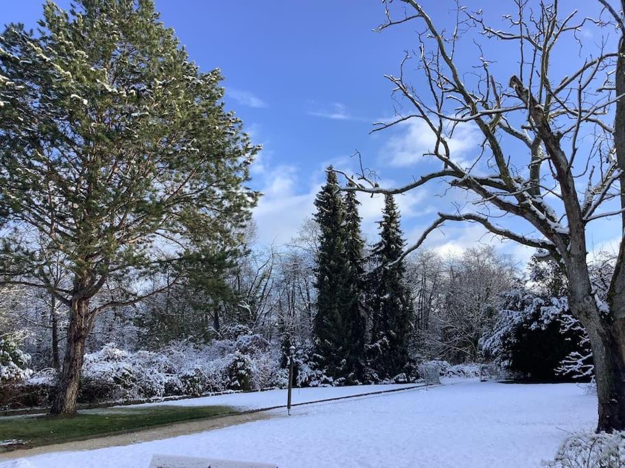 Ueber Den Daechern Von Koblenz - Aussichts-Wohnung Naturpark Rheinblick, Ruhig, Zentrumsnah, Sport-Pool Bagian luar foto