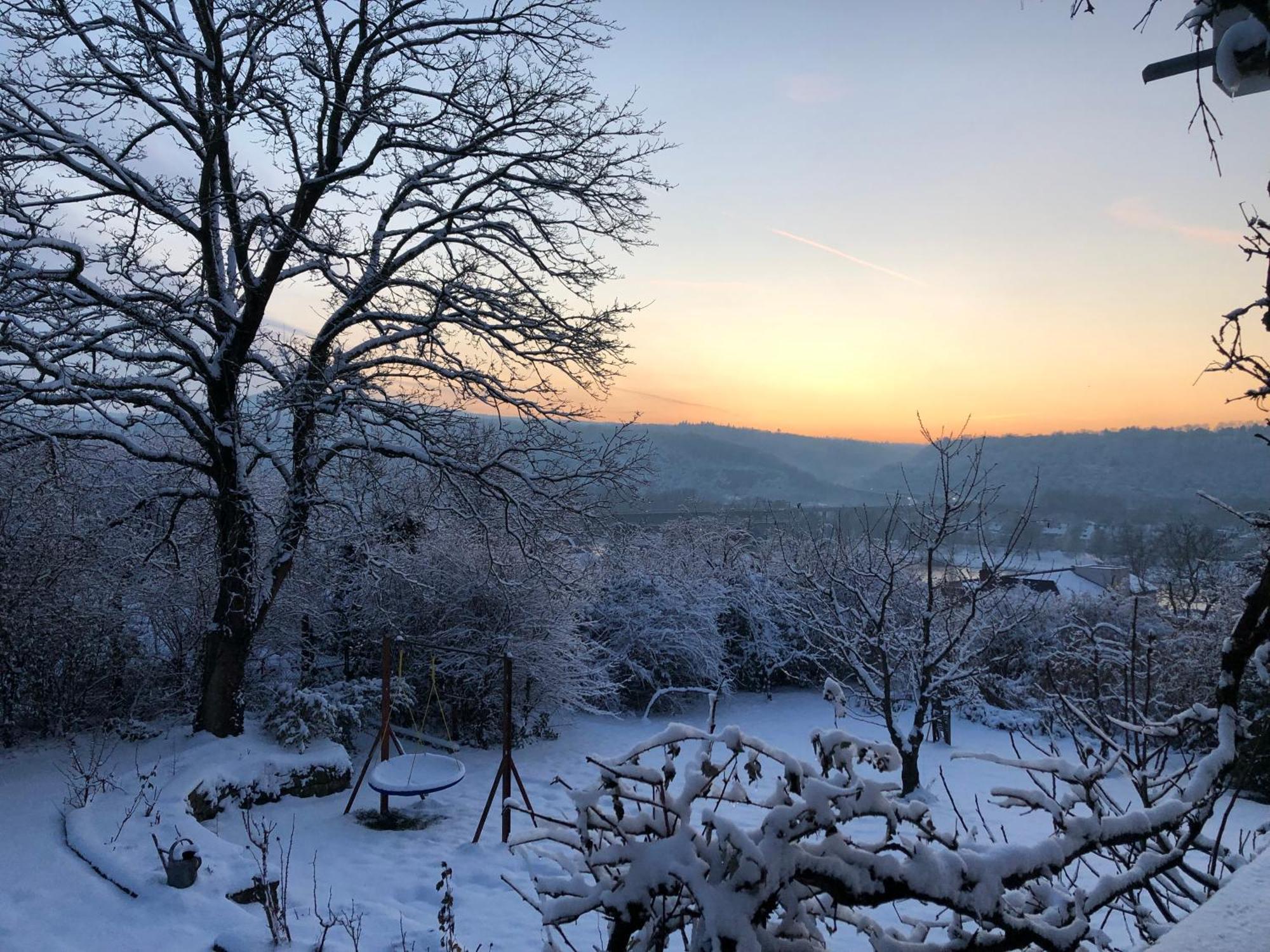 Ueber Den Daechern Von Koblenz - Aussichts-Wohnung Naturpark Rheinblick, Ruhig, Zentrumsnah, Sport-Pool Bagian luar foto